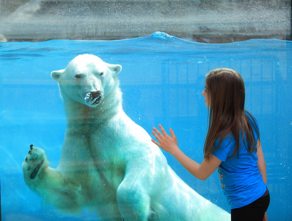 Zoo de St-Félicien - crédit photo Charles-David Robitaille